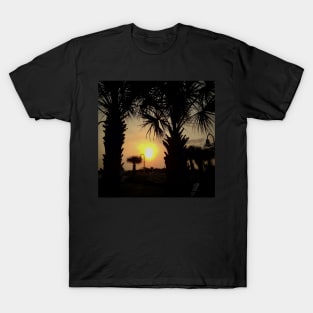 Palm Tree Sunrise T-Shirt